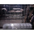 Glavanized PVC Coated Steel Farm Fence